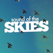 Sound of the Skies