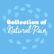 Collection of Natural Rain
