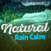 Natural Rain Calm