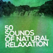 50 Sounds of Natural Relaxation: Peaceful Reflection, Spa Zen, Rest and Zen
