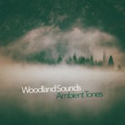 Woodland Sounds: Ambient Tones