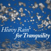 Heavy Rain for Tranquility