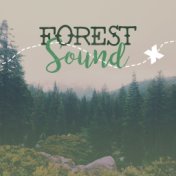Forest Sound