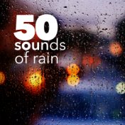 50 Sounds of Rain