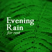 Evening Rain for Rest