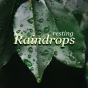 Resting Raindrops