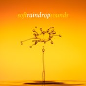 Soft Raindrop Sounds