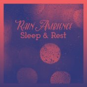 Rain Ambience: Sleep & Rest