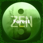 Forest Zen