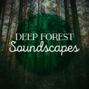Deep Forest Soundscapes