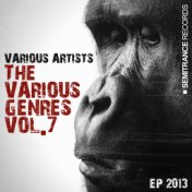 The Various Genres, Vol. 7 (EP 2013)
