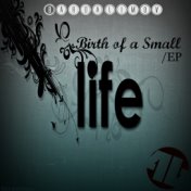 Birth of a Small Life EP