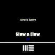 Numeric System