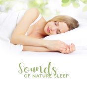 Sounds of Nature Sleep: Compilation of Nature New Age Music Lullabies for Good Calm Sleep, Beautiful Dreams, Calm Nerves and Cur...