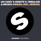 Amnesia (feat. Timbaland & Brasco) (Radio Edit)