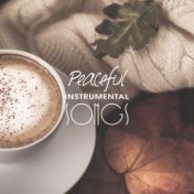 Peaceful Instrumental Songs
