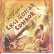 Cicci Guitar Condor