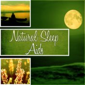 Natural Sleep Aids - Calming Music with Nature Sounds for Emotional Distress, Sleep Music with Rain Sounds