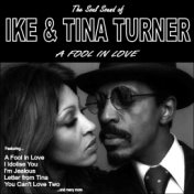 A Fool in Love:The Soul Sound of Ike and Tina Turner