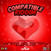 Compatible Riddim