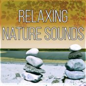 Relaxing Nature Sounds - Wellness & Spa Selection of Chill Out and Lounge to Relax During the Cold Winter