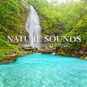 Nature Sounds and Relaxing Music - Beautiful Music for New Age Relaxation, Spa and Yoga