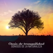 Oasis de tranquilidad – Sonidos de la naturaleza relajantes y hermosas para dormir mejor, calmar la mente e meditar