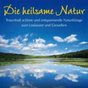 Die heilsame Natur: loslassen und genießen