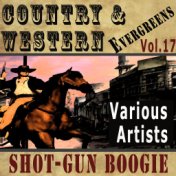 Country  and  Western Evergreens, Vol. 17