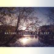 Nature Sounds for Sleep – Relaxation Bedtime, Stress Relief, Deep Dreams, Soothing Music at Goodnight, Sweet Nap, Calming Melodi...