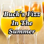 Buck's Fizz In The Summer