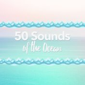 50: Sounds of the Ocean