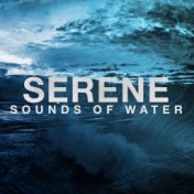 Serene Sounds of Water