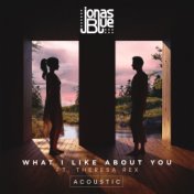 What I Like About You (Acoustic)