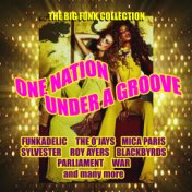 One Nation Under A Groove - (The Big Funk Collection)