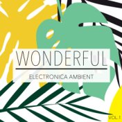 Wonderful Ambient Electronica, Vol. 1