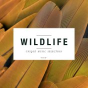 Wildlife, Vol. 4