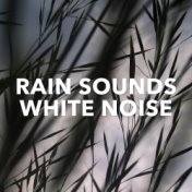 Rain Sounds & White Noise