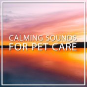 12 Calming Sounds for Pet Care