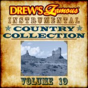 Drew's Famous Instrumental Country Collection (Vol. 19)