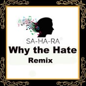 Why the Hate (Remix)