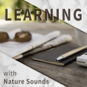 Learning with Nature Sounds – Soft Sounds of Nature, Calming Sounds to Relax, Learning Music