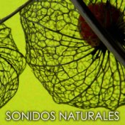 Sonidos Naturales para Relax