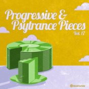Progressive & Psy Trance Pieces Vol.17�