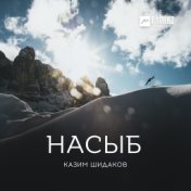 Насыб