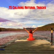 75 Calming Natural Tracks