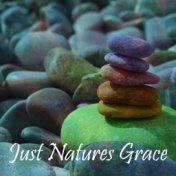 Just Natures Grace