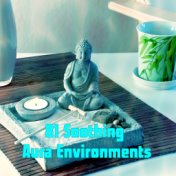 81 Soothing Aura Environments