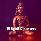 75 Spirit Cleansers