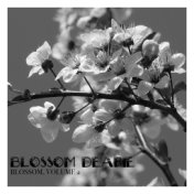 Blossom, Vol. 2